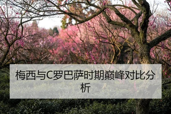 梅西与C罗巴萨时期巅峰对比分析