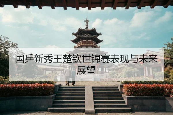 国乒新秀王楚钦世锦赛表现与未来展望